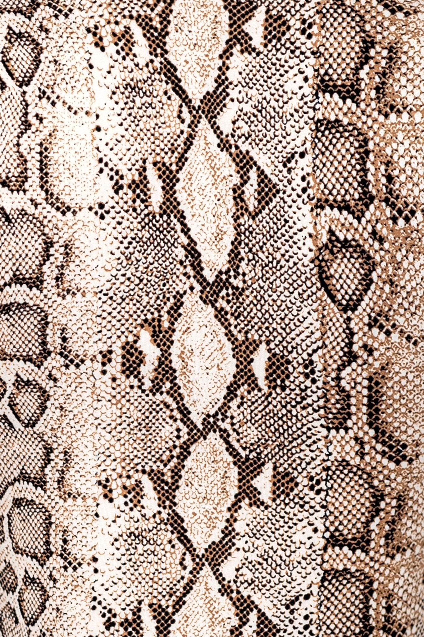 Snake Print Matching Set – Crop Top & Low Rise Mini Skirt for Women - Blaire Shops