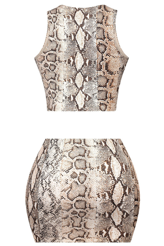 Snake Print Matching Set – Crop Top & Low Rise Mini Skirt for Women - Blaire Shops