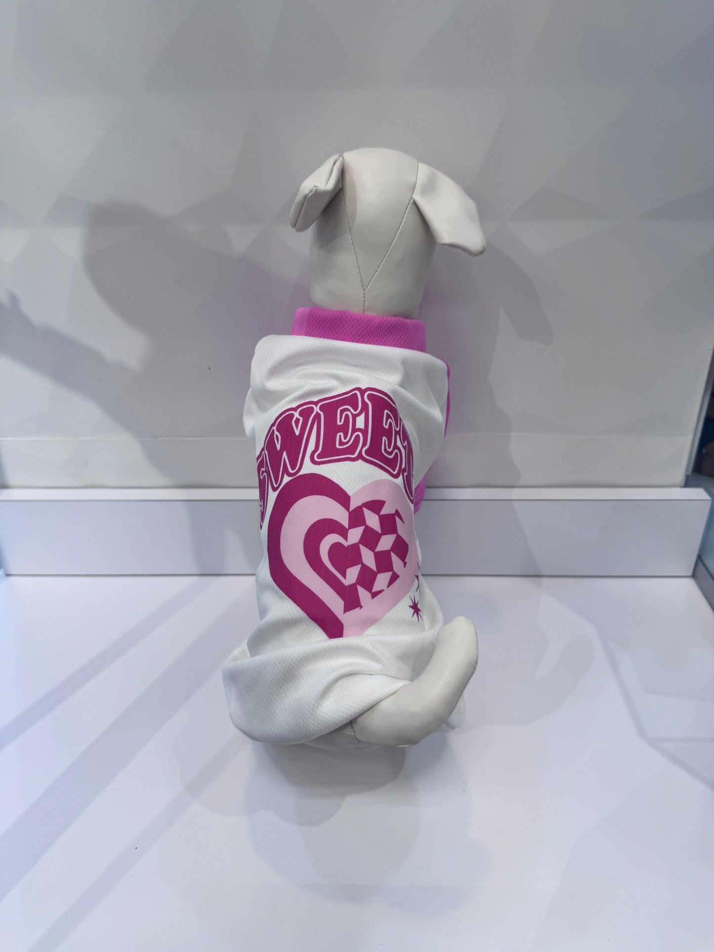 Stylish Comfort for Your Mid - Sized Pup 🐶 - Blaire Shops